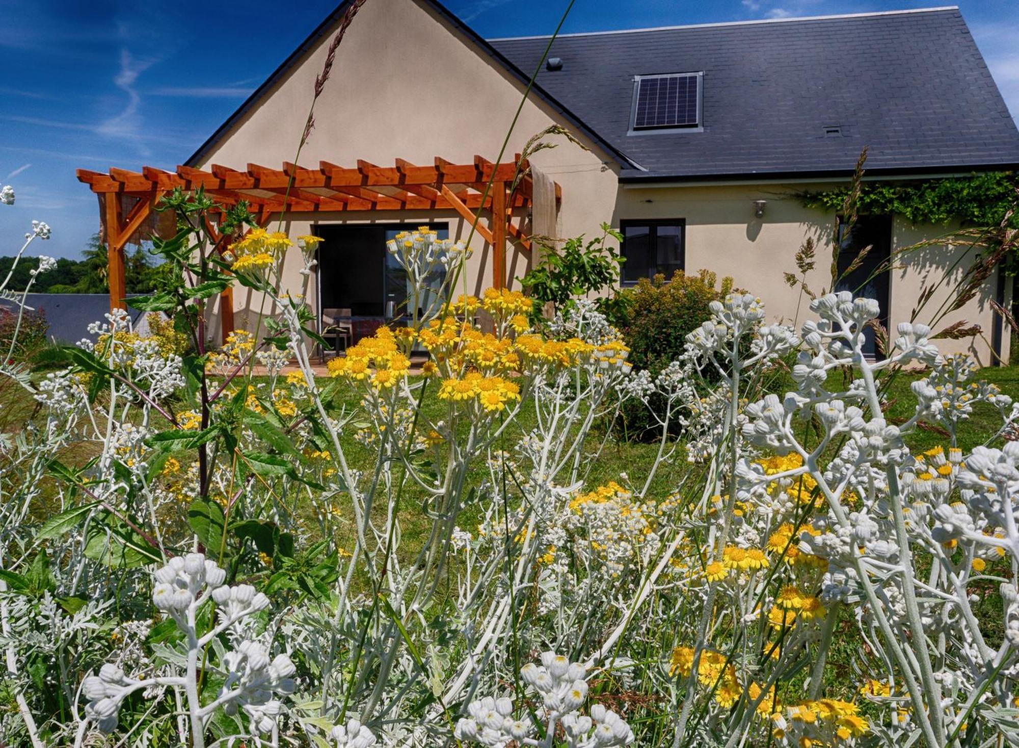 Le Logis D'Emeric Avec Paisible Jardin Clos&Arbore Loches Extérieur photo